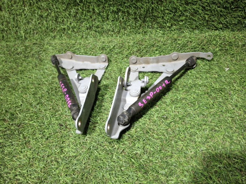 Амортизатор двери багажника RX-8 2004 SE3P 13B-MSP