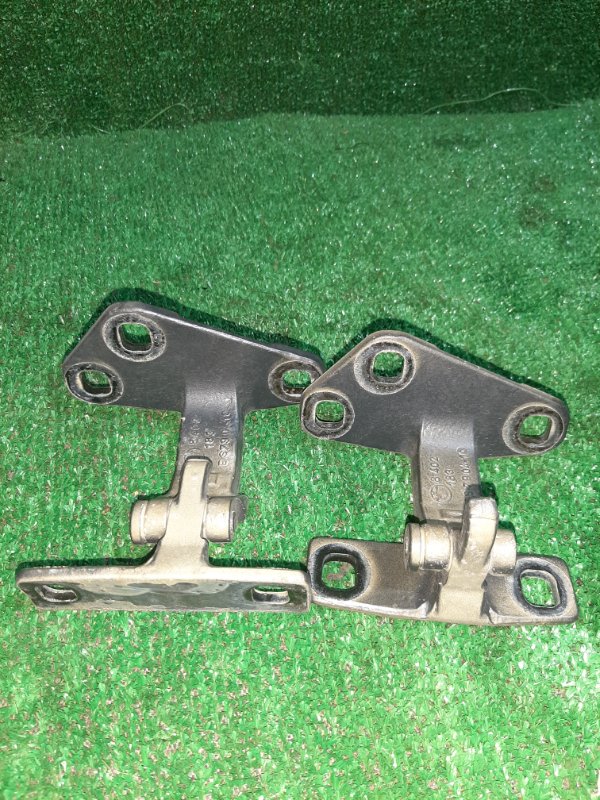 Петля крышки багажника Bmw X5 E53 N62B44 2005 (б/у)
