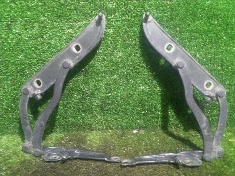 Петля крышки багажника Bmw 3-Series E46 M54B30 2002 (б/у)