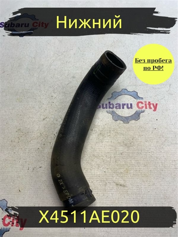 Патрубок радиатора нижний Subaru Legacy B4 BE5 EJ206 2002 (б/у)