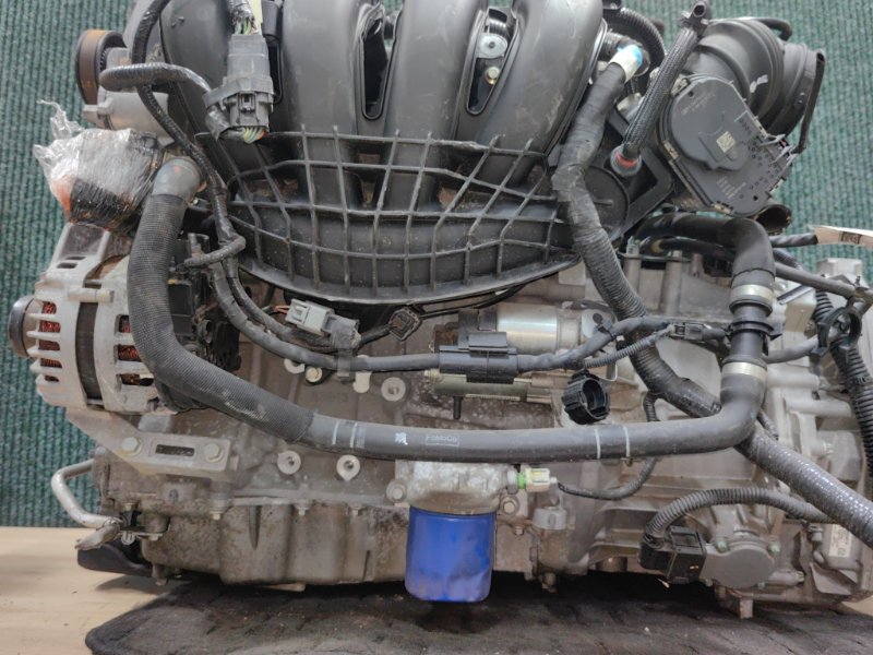 Двигатель Ford Focus CB8 MGDA
