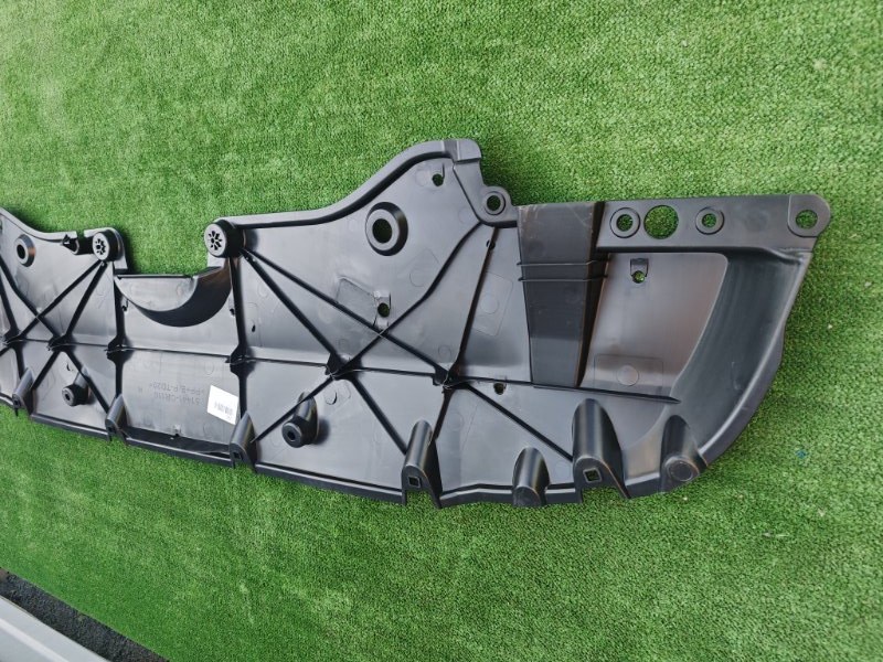 Защита бампера передняя Rav4 2020-2023