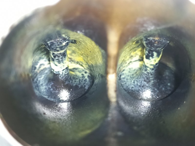 ДВИГАТЕЛЬ (ОРИГИНАЛ) RIO 2 2010 G4EE ДВИГАТЕЛЬ (ОРИГИНАЛ) RIO 2 2010 G4EE