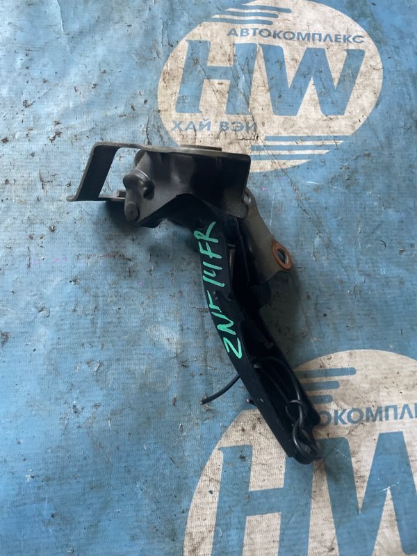 Петля капота Toyota Wish ZNE14 1ZZFE (б/у)