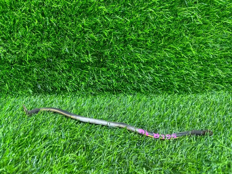 Провод аккумулятора MAZDA BONGO FRIENDEE SGLR (б/у)