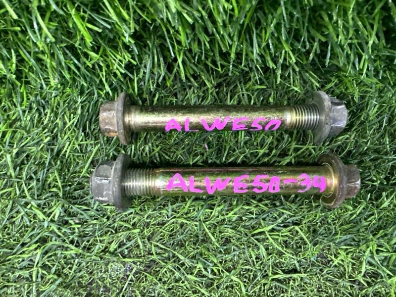 Крепление рычага лево/право NISSAN ELGRAND ALWE50 VG33E заднее (б/у)