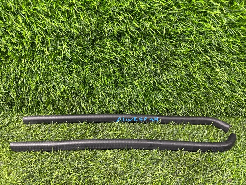 Уплотнитель двери Nissan ELGRAND ALWE50 VG33E 1998 передний (б/у)