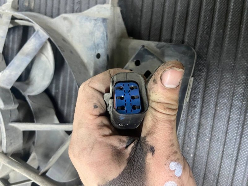 Вентилятор охлаждения радиатора Focus 2004