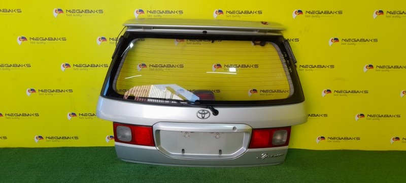Дверь задняя Toyota Ipsum SXM10 1996 I MODEL.  44-6 (б/у)