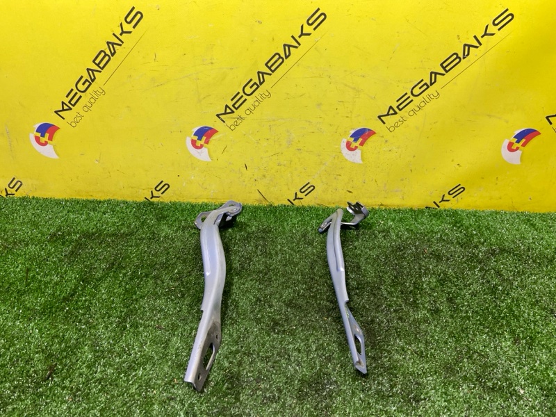Петля капота Honda Insight ZE2 LDA 2009 (б/у)