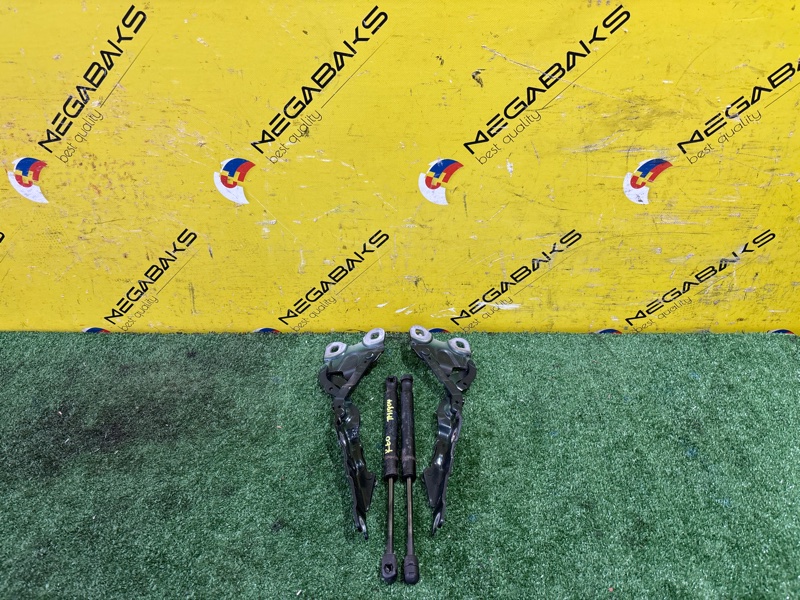 Петля капота MINI COUNTRYMAN R60 N16B16 2012 (б/у)
