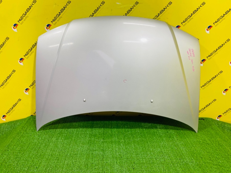 Капот NISSAN PRESAGE NU30 KA24DE 2000 (б/у)