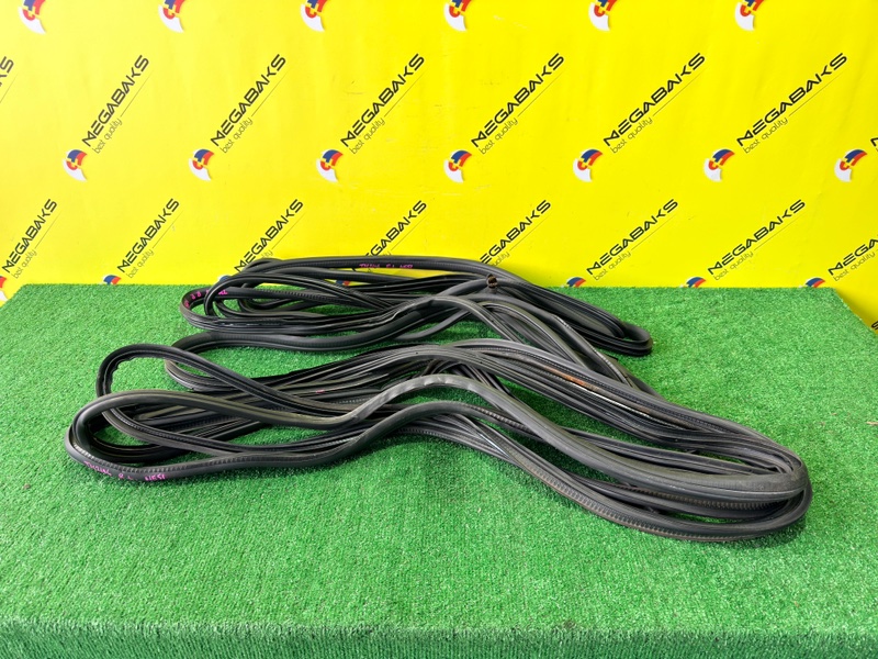 Уплотнительная резинка дверей NISSAN ELGRAND NE51 VQ35DE 2006 (б/у)