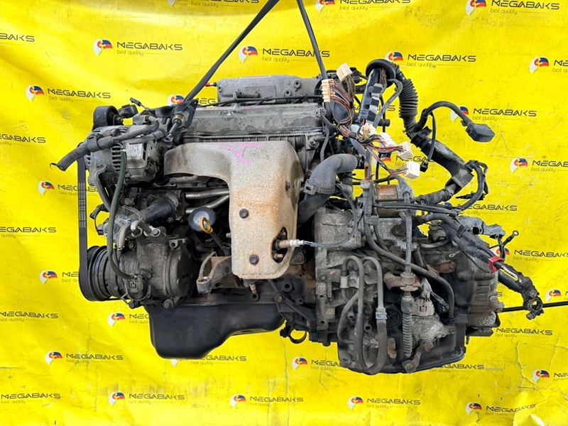 АКПП TOYOTA MARK II QUALIS SXV20 5S-FE 1999 A140E -02A (б/у)