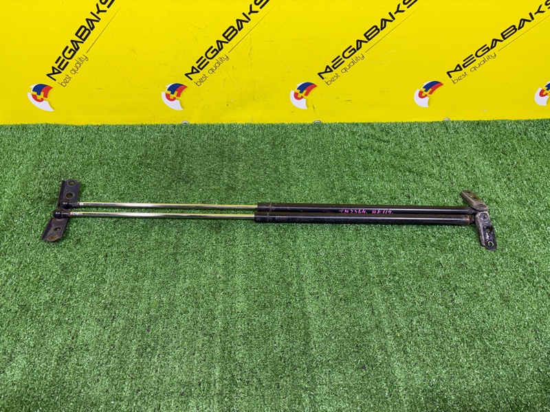 Амортизатор задней двери TOYOTA CARIB AE114 4A-FE 2001 (б/у)
