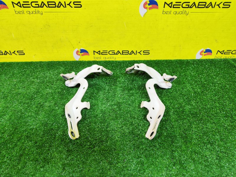 Петля капота LEXUS IS350 GSE21 2GR-FXE 2005 (б/у)