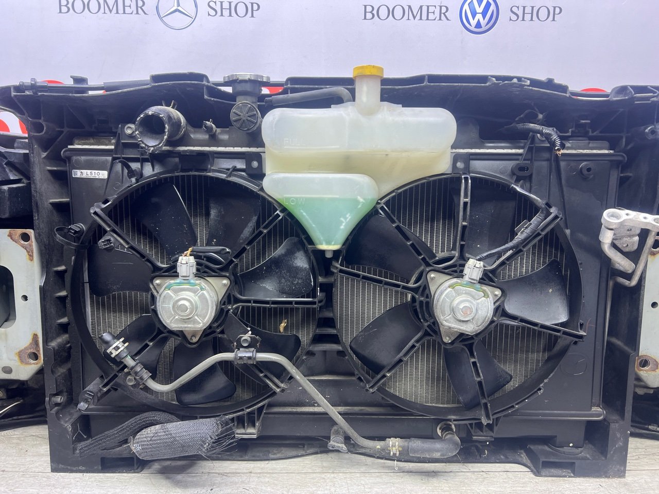 Ноускат 6 2009 GH Ноускат 6 2009 GH