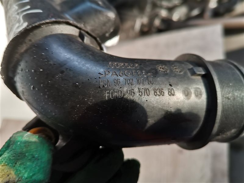 Патрубок интеркулера FORD FOCUS II 1.6