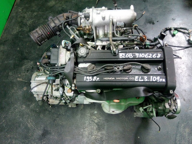 Мотор б 20 б. Хонда Орхия двигатель el3 b20b. Мотор b20b Honda. Хонда двигатель b20b. ДВС Хонда b20a.