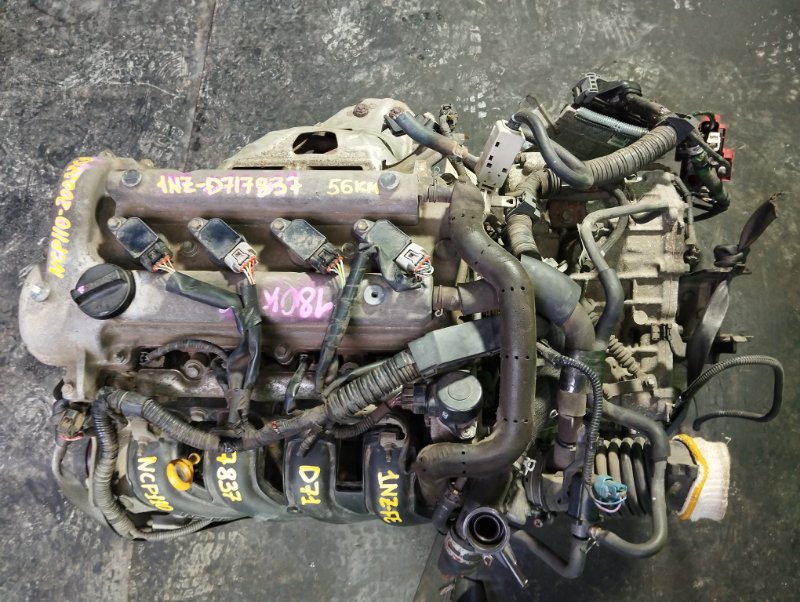 Двигатель Toyota Ist NCP110 1NZ-FE (б/у)