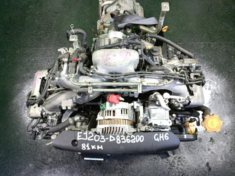 Двигатель Subaru Impreza GH6 EJ203 (б/у)