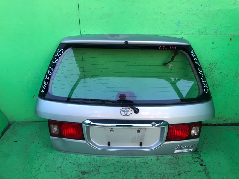 Дверь задняя Toyota Ipsum SXM10 (б/у)