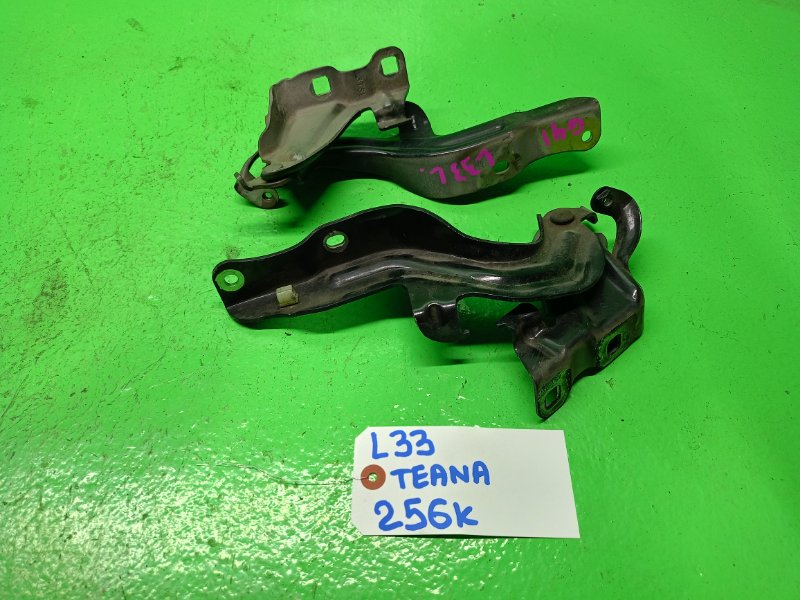 Петля капота Nissan Teana L33 (б/у)
