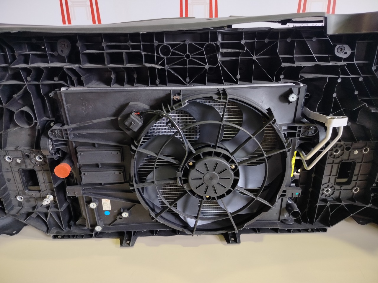 Ноускат CS35Plus