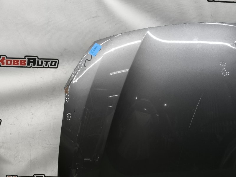 Капот Fluence