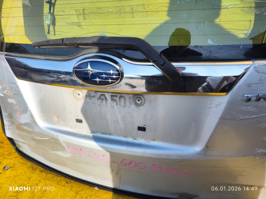 Дверь 5-я TREZIA NCP120