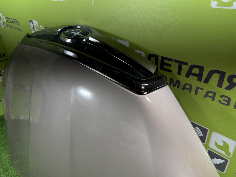 Капот FORESTER NEC SJG