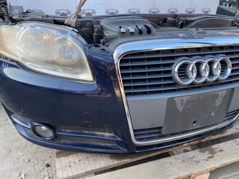 Nose cut A4 8E ALT