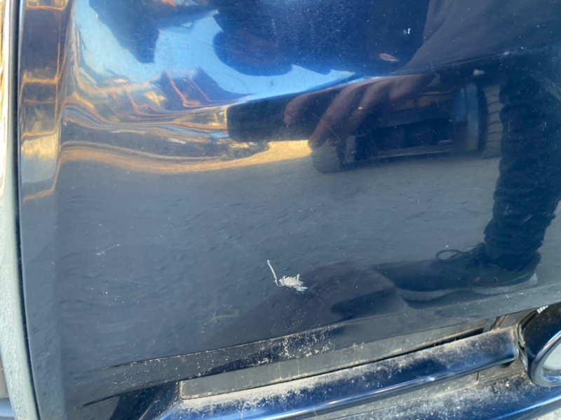 Nose cut A4 8E ALT