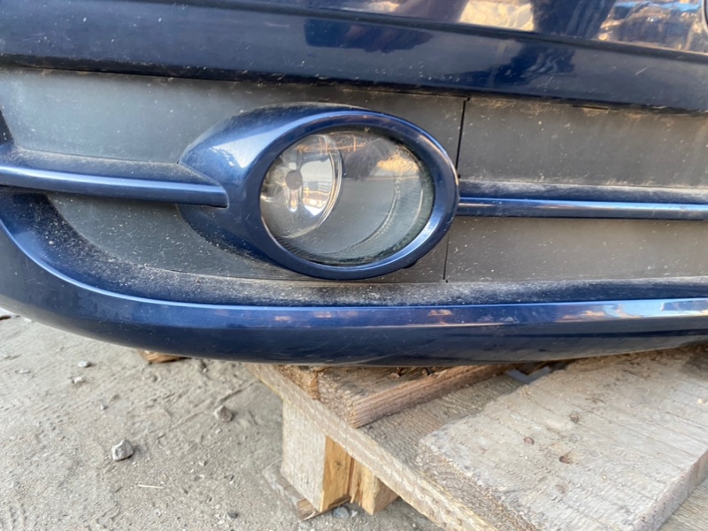 Nose cut A4 8E ALT