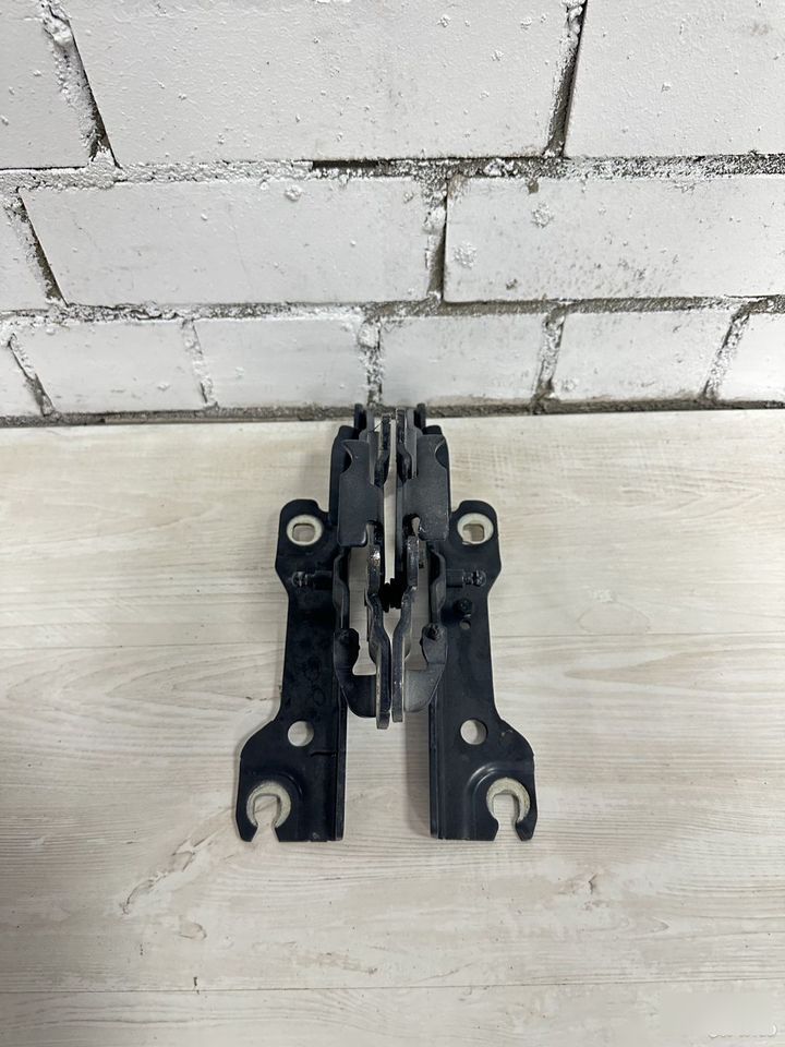 Петли капота 1 F20