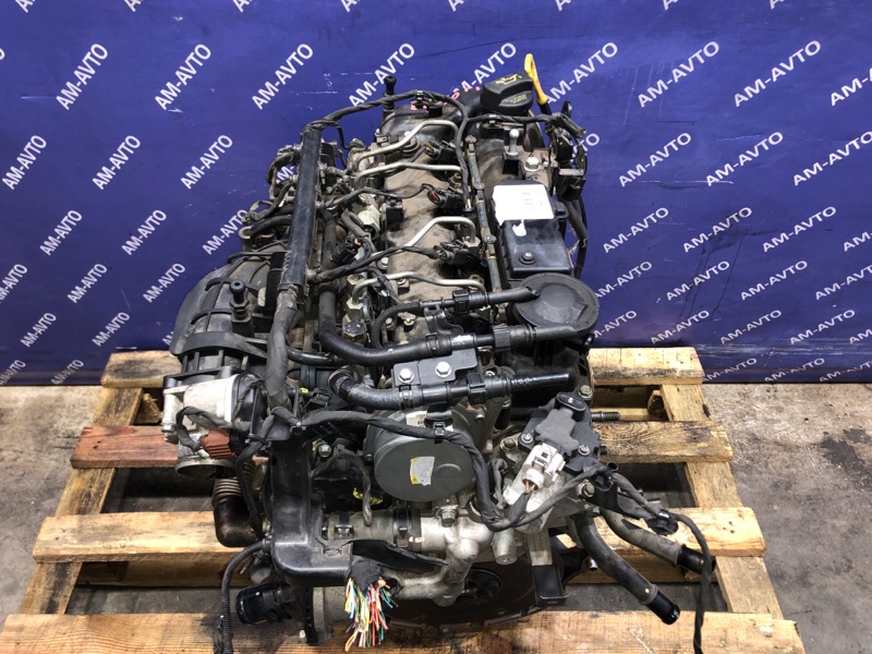 Двигатель TUCSON 2012 LM D4HA