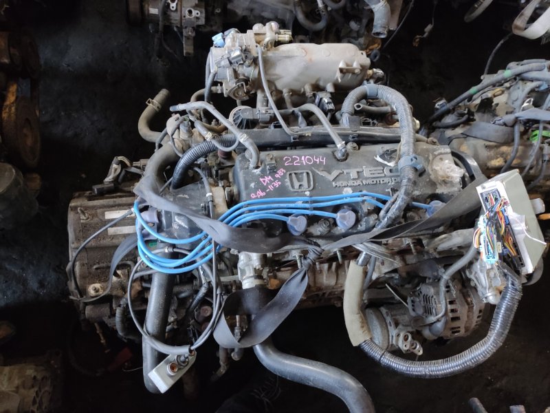 Двигатель Honda Odyssey RA6 F23A 2001 (б/у)