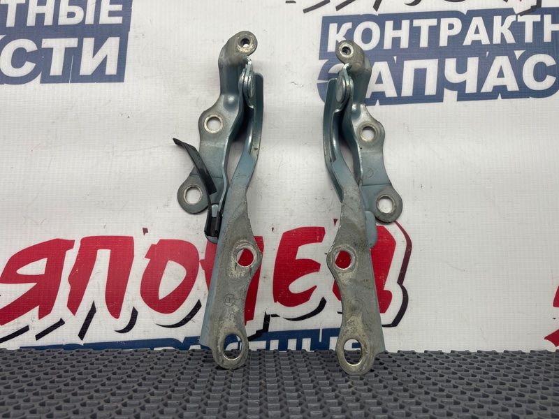 Петля капота Toyota Corolla Spacio NZE121 1NZ-FE 2002 (б/у)