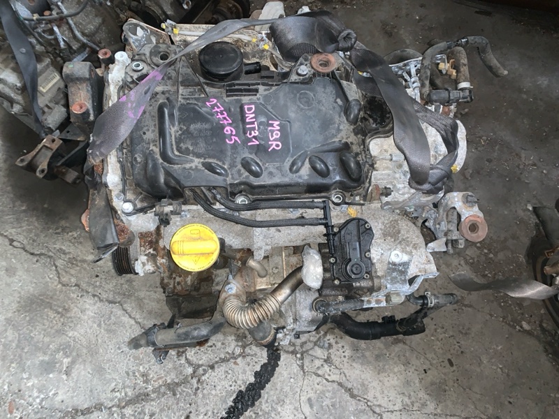 Двигатель Nissan Xtrail DNT31 M9R (б/у)