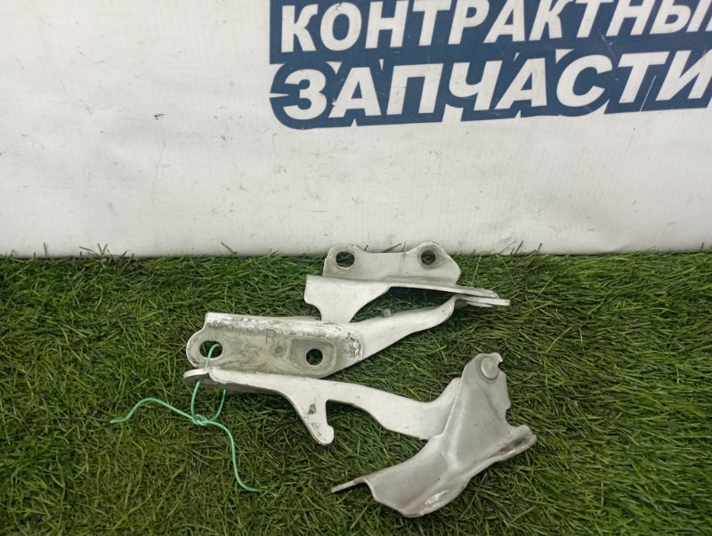 Петля капота Toyota Camry Gracia SXV20 5S-FE (б/у)