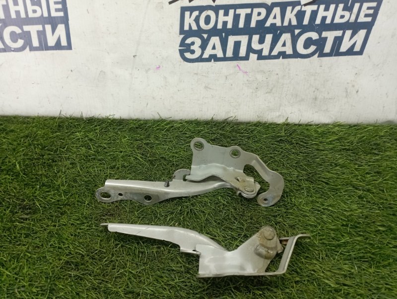 Петля капота Toyota Wish ZNE14 1ZZ-FE (б/у)