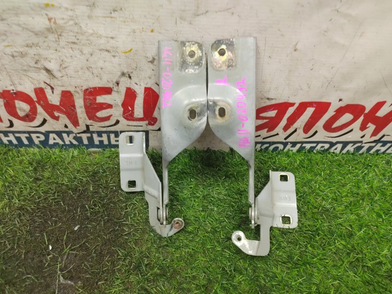 Петля капота Nissan Bluebird Sylphy NG11 MR20DE (б/у)