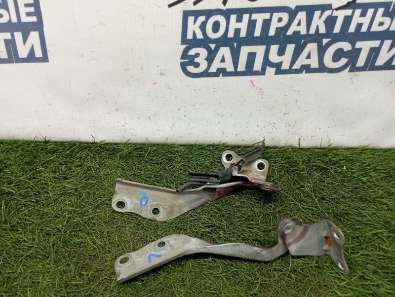 Петля капота TOYOTA PASSO KGC10 1KR-FE (б/у)