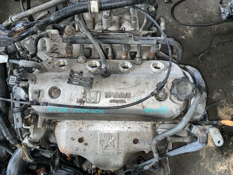 Двигатель HONDA ACCORD CD3 F18B (б/у)