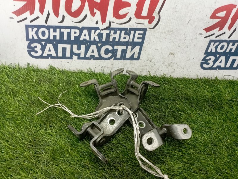 Петля двери TOYOTA VOLTZ ZZE136 1ZZ-FE передняя (б/у)