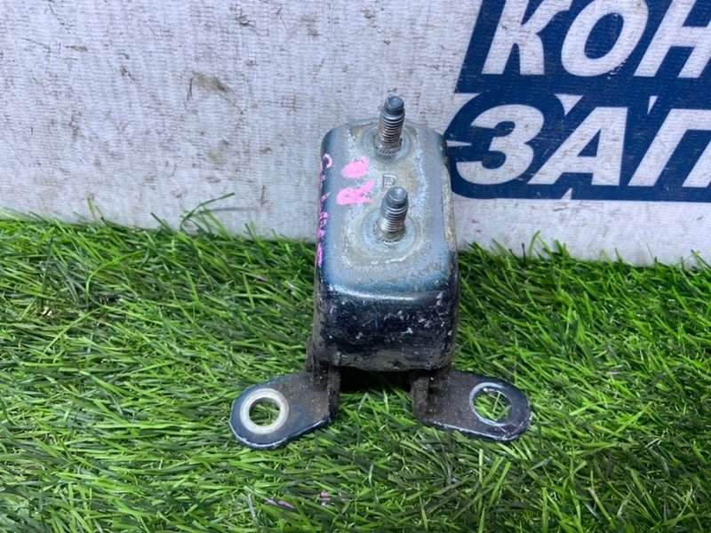 Петля двери TOYOTA IPSUM SXM15 3S-FE задняя правая (б/у)