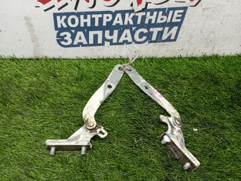 Петля крышки багажника HONDA EDIX BE8 K24A (б/у)