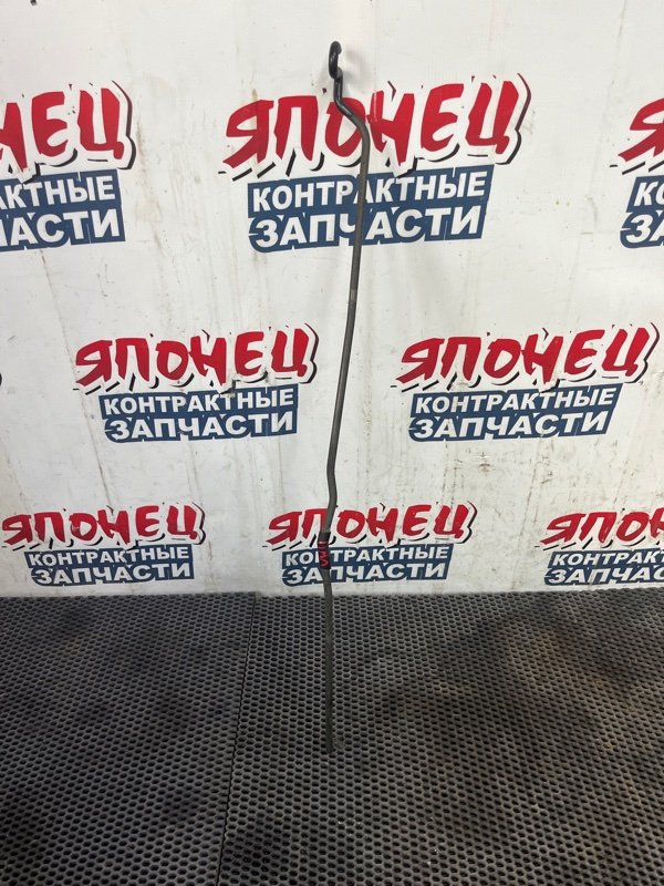 Упор капота NISSAN EXPERT VW11 QG18DE 2000 (б/у)