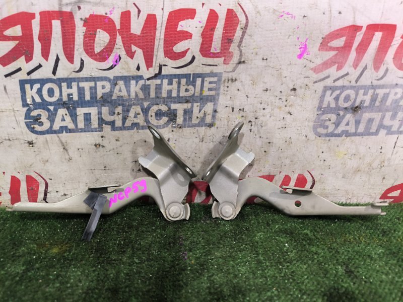 Петля капота TOYOTA SUCCEED NCP59 1NZ-FE (б/у)