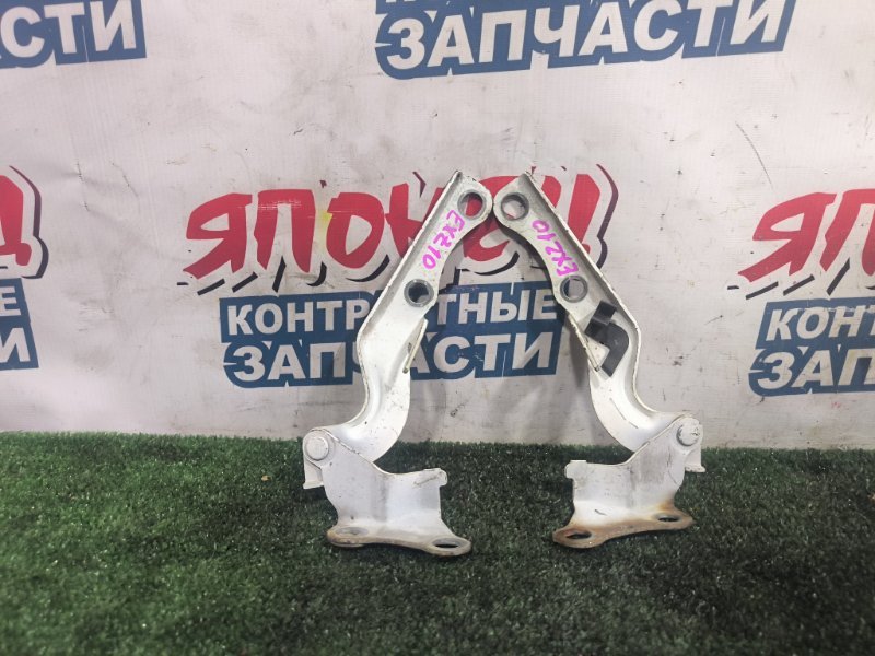 Петля капота TOYOTA RAUM EXZ10 5E-FE (б/у)